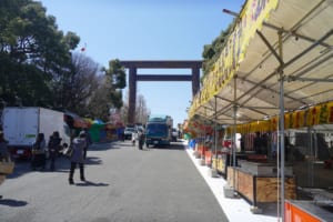 2015 靖国神社 桜