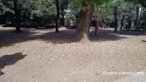 靖國神社2016年10月③