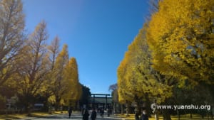 靖國神社2016年12月③